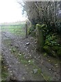 Old granite gatepost and modern gate, near Kennel Plantation