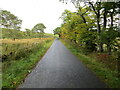 Tree and fence-lined minor road near to Howcleuchshiel