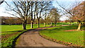 Driveway, High Hazels Park, Sheffield