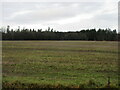 Field to the south of Brechin