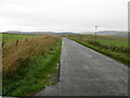 Minor road near to Hartwoodmyres