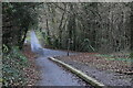 Footpath junction at the end of Petersfield Road