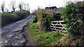 Bridleway off Hinders Lane