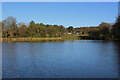 Reservoir off Oakmere Avenue