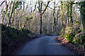 Lane towards Waterlane