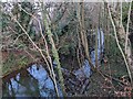 The Herefordshire and Gloucestershire Canal (Monkhide)