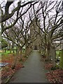 Tree-lined path to Emmanuel Church