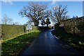 Messuage Lane, Marton