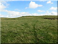 Grass path heading for the triangulation pillar on Gray Hill