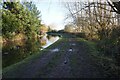 Trent & Mersey Canal towards Beech Lane Bridge