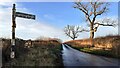 Road towards Field Head at Knowbrow T-junction