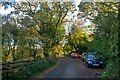 Lustleigh : Country Lane