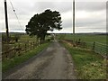 Minor road near Ochiltree