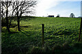 Ballyhallaghan Townland