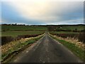 Minor road near Failford