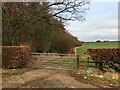 Gated field entrance and the southern edge of Broad Wood