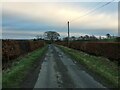 Minor road near Tarbolton