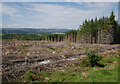 NH4838 : Cleared forest, by Clunevackie by Craig Wallace