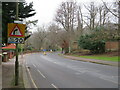 TQ4270 : Sundridge Avenue, near Bromley by Malc McDonald