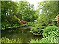 Trees and shrubs around a pool