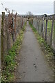 Footpath to Ditton