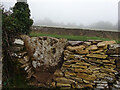 SO9700 : Stone Stile, Coates by Mr Red