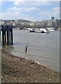 TQ3180 : River Thames by Lauren