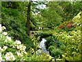 View down the overflow to the Water garden