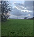 Grass field in Byngwyn, Monmouthshire