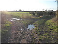 Junction of green lanes near Eaton Bray