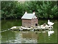 Duck House