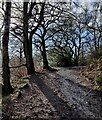 SJ6309 : Shropshire Way ascending the Wrekin by Mat Fascione