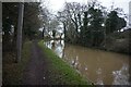 Coventry Canal towards bridge #35