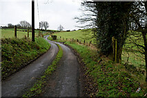 H5572 : Bends along Roeglen Road by Kenneth  Allen