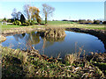 Pond, Alton Green, Lower Holbrook