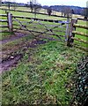 Wooden field gate, Penrhos, Monmouthshire