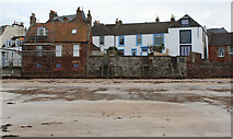 NT5585 : Beachfront houses in North Berwick by Thomas Nugent