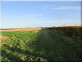 Field  edge  footpath  toward  Foston  on  the  Wolds