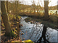 The Erring Burn below Hallington Mill