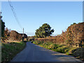 Lane towards Erwarton