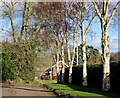 Lane in Woundale, Shropshire