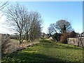 Disused railway at Medomsley