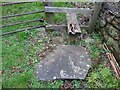 SO5708 : Stone Stile, Clearwell by Mr Red