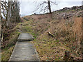 Path skirting Vertish Hill, Hawick