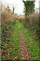 SX9067 : Path from Leeward Lane by Derek Harper