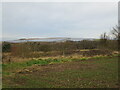 Solar farm on former colliery tip. Meden Vale