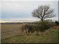 Prepared field off Broomhill Lane