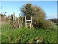 NY3952 : Stile near Cummersdale Mills by Adrian Taylor