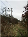 Power line, Budby South Forest