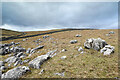 SD9565 : Limestone boulders on Malham Moor by Andy Waddington